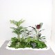 Artificial Green Plant Landscaping Corner Space Bionic Plant Decoration Potted Traveler's Banana Plant and Monstera Artificial Tree Ornament