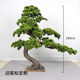 Simulated Welcoming Pine Tree, Large Indoor and Outdoor Landscaping Decoration, Artificial Tree for Shopping Malls and Hotels, Landscape Arborvitae