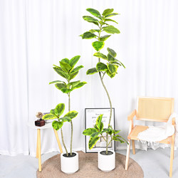 Artificial Banyan Tree for Indoor Living Room, Popular Large Potted Green Plant, Rubber Tree, Golden Banyan