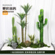 Simulated Desert Green Plant Cactus Landscaping Indoor Landscape Clothing Store Window Large Cactus Decorative Ornaments
