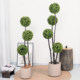 Simulated Green Plant Milan Tree Indoor Artificial Plant High-End Fake Tree Floor-Standing Potted Plant Decorative Atmosphere Tree Ornament