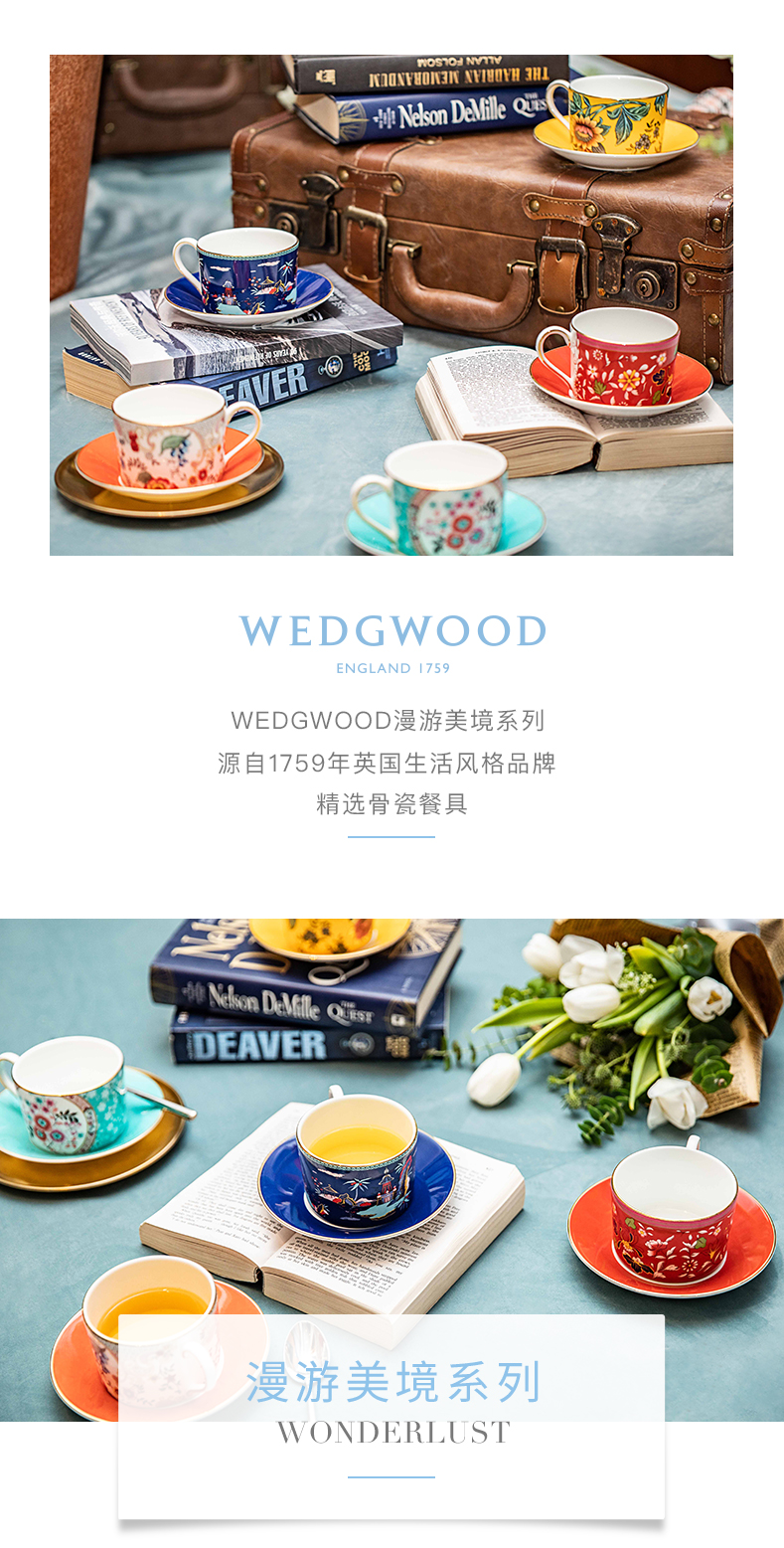 WEDGWOOD waterford WEDGWOOD roaming throughout the beautiful ipads China cups and saucers group European coffee cups and saucers afternoon tea set