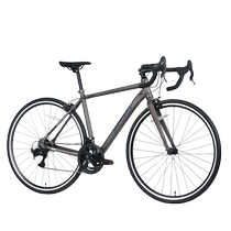 Xidesheng entry-level road bike RC160 internal wiring aluminum alloy frame 14-speed male and female student bicycle