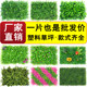 Fake turf paving, artificial plastic flower wall, simulated lawn stair partition, supermarket artificial green plant surface decoration