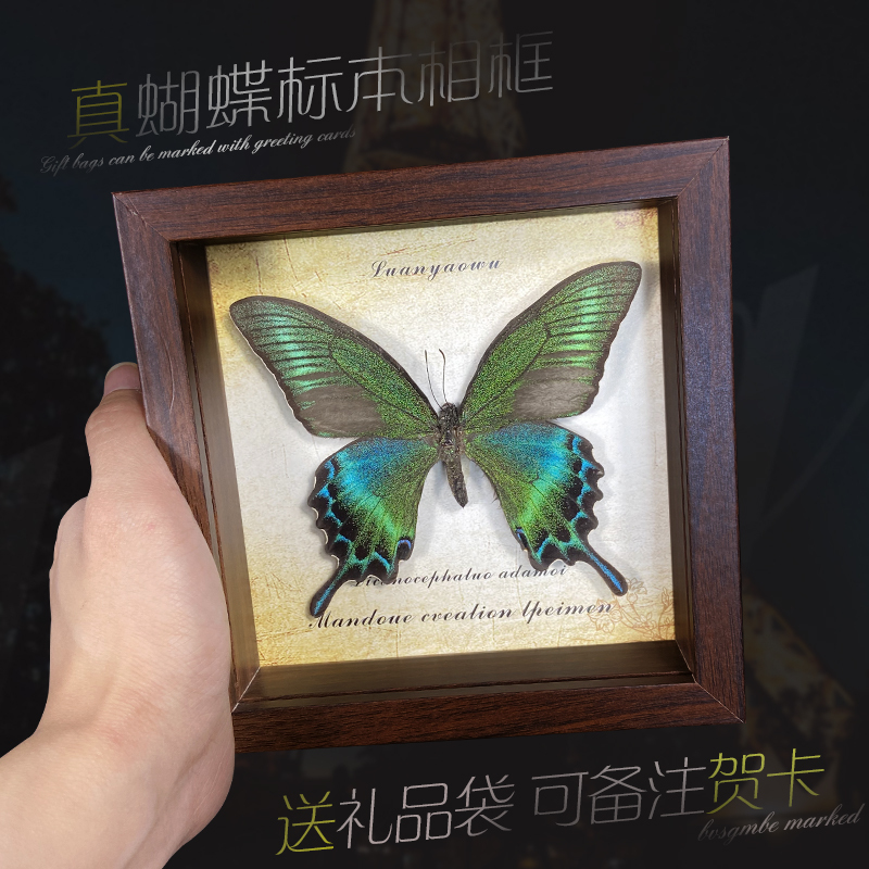 Real Butterfly Specimen Photo Frame Wooden Decorative Painting DIY Retro Photo Frame Table Furniture Decoration Birthday Gift Gift
