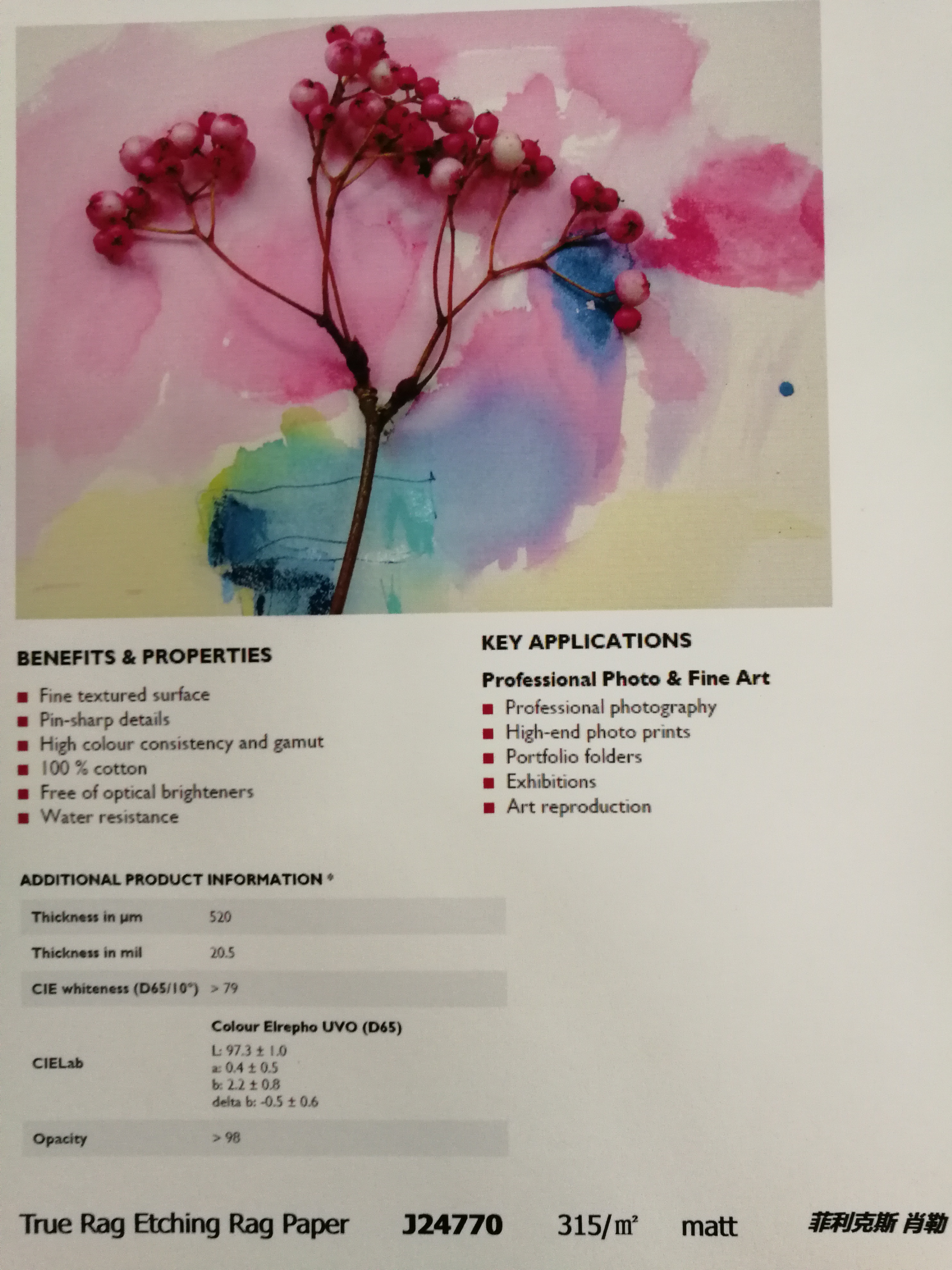 315g photographic pure cotton etched art paper, matte pure cotton, acid-free artwork reproduction professional photography