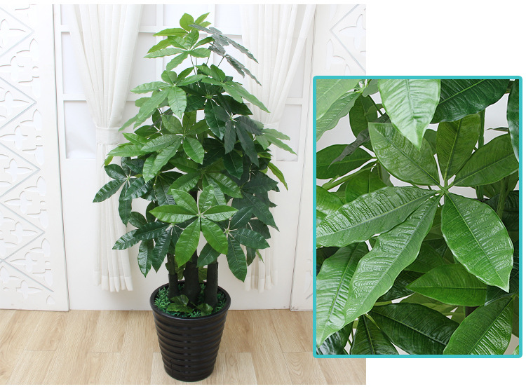 Amoy mô phỏng mô phỏng cây may mắn trong chậu cây phòng khách trang trí tiền cây nhựa hoa nội thất bonsai - Hoa nhân tạo / Cây / Trái cây hoa lan hồ điệp giả