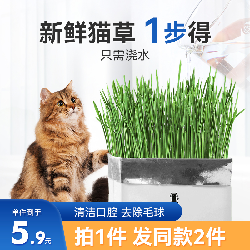 Cat grass seeds cat mint cat snacks cat hair removal ball hair cream cat grass hydroponic planting set cat supplies