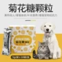 Nhỏ pet dog hoa cúc đường hạt 10 gói nhiệt-thanh toán bù trừ lửa bổ sung dinh dưỡng để tăng cường sự thèm ăn mèo pet sản phẩm sức khỏe sữa cho mèo con mất mẹ