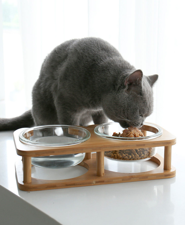 Платформа Glass Cat Bowl_08.jpg