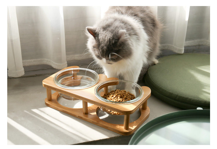 Платформа Glass Cat Bowl_17.jpg