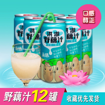 Honghu wild lotus root juice Huaguui fresh lotus root juice Lotus root juice Vegetable juice Fruit freshly squeezed juice drink Whole box juice