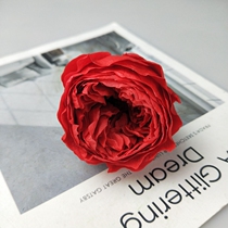 Domestic Austin 4-5cm5-6cm rose flower forever flower DIY keychain material pack a price