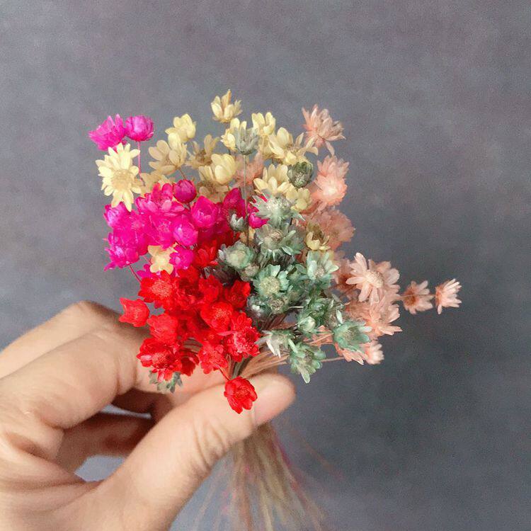 Domestic mini star flower immortal flower diy flower material decoration material mini flower (30 twigs)