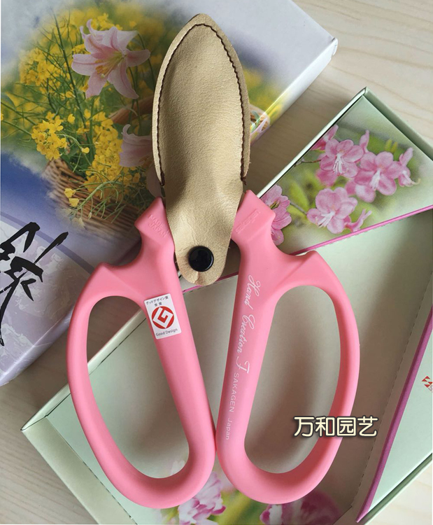 进口园艺剪刀花剪：园艺达人的必备神器，打造完美花园的秘密武器！