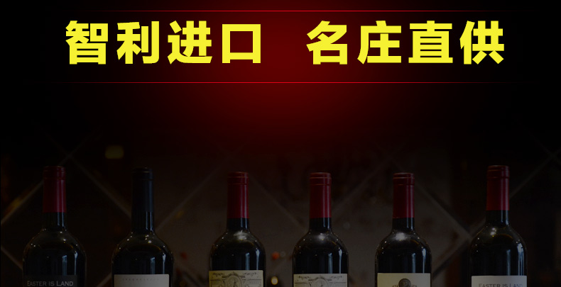 铭威红酒智利进口干红葡萄酒双支礼盒装