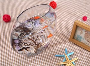 【鱼缸养花水培图片】鱼缸养花水培图片大全