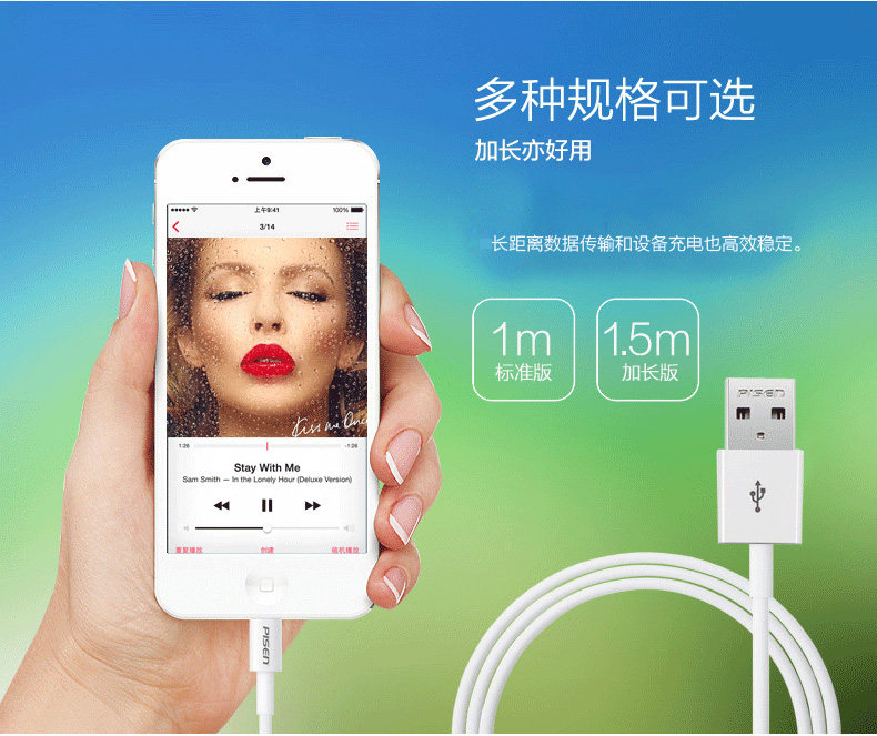 chargeur PISEN pour téléphones APPLE APPLE IPHONE6 - Ref 1296242 Image 23