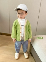 X2213 фруктовые зеленые