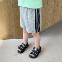 X1579 Моти пепел