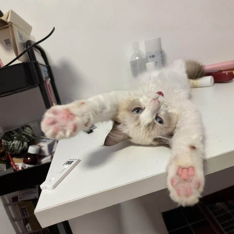 小马农产品小铺