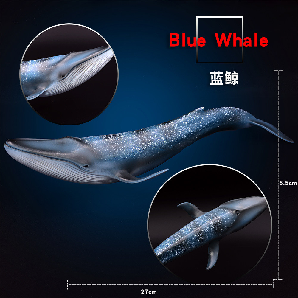 Simulation Animal Model Toys Marine Marine Marine Fish Blue Whale whale Kids Cognitive Gifts