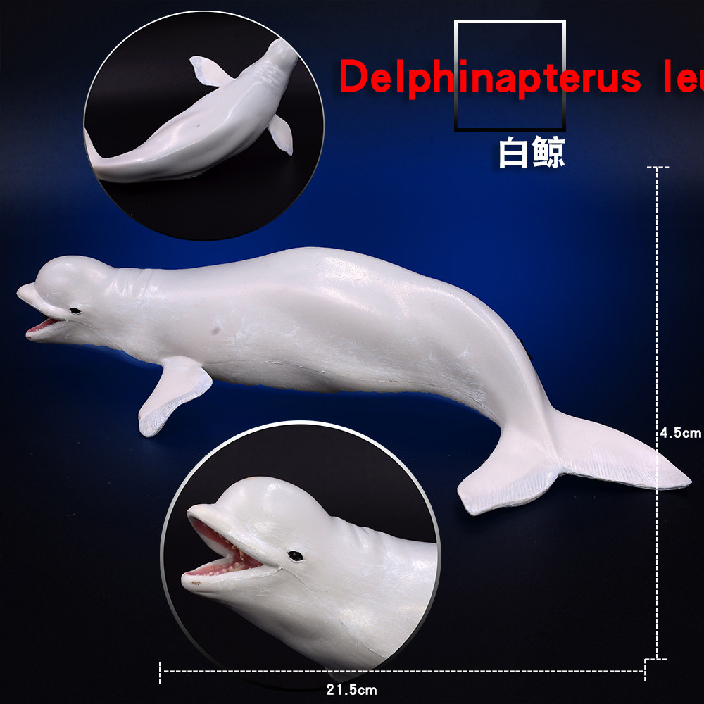 Marine Life Model White Whale Whale Paparazzi Doll Boy Girl Birthday New Year Cognitive Toy Gift