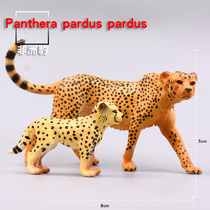 Simulation animal model toy cheetah leopard Jaguar ornaments children cognitive toy gifts