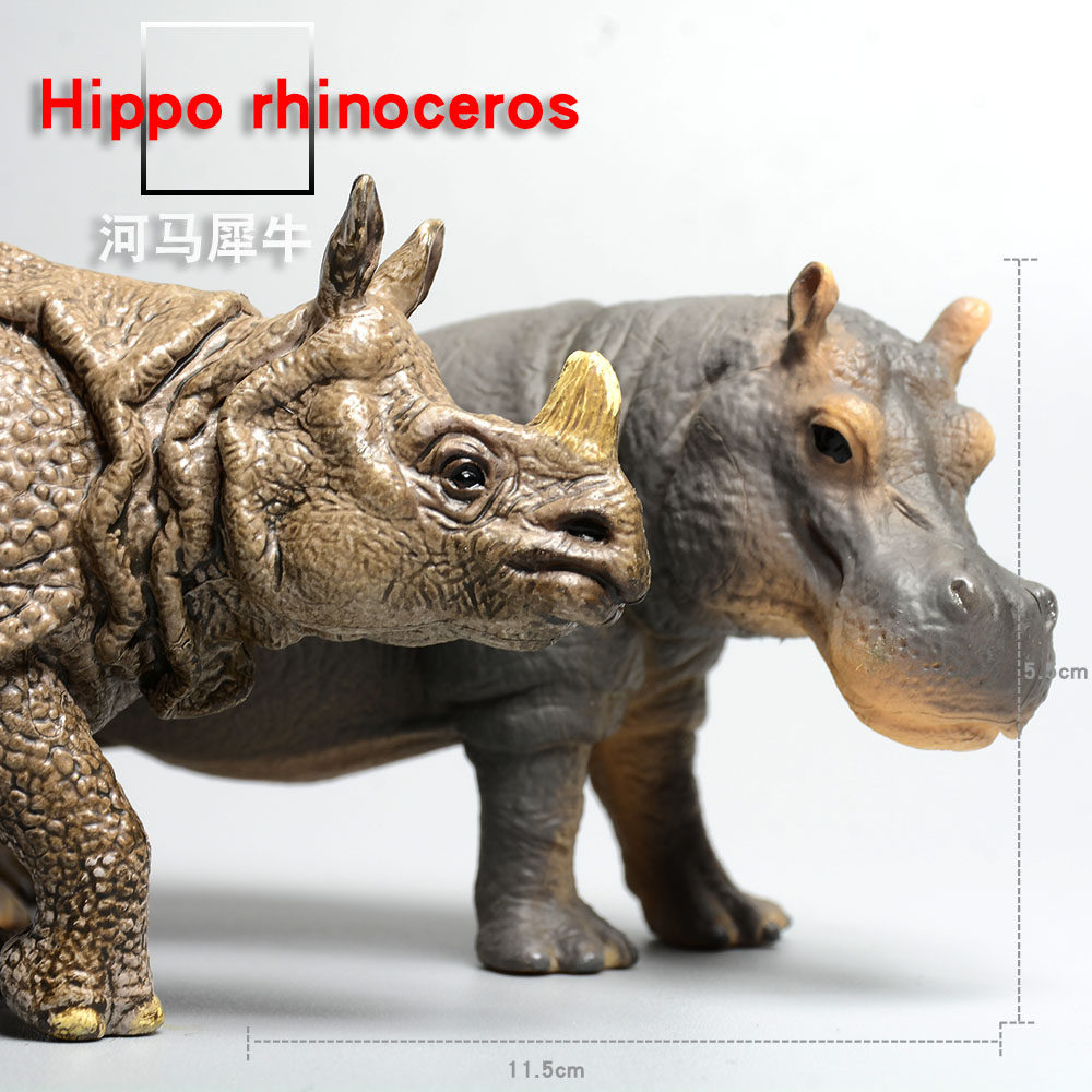 Children's simulation animal model of toy Rhippo model