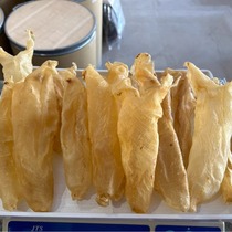 Salted water yellow flower gum Zorrofish gum open sheet of chia tummy daily flower glue (Khun Quanhai products)