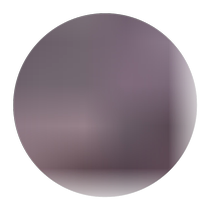 Fresh squid head dried salted squid squid head dried squid head dried goods 500g dried octopus head aquatic seafood