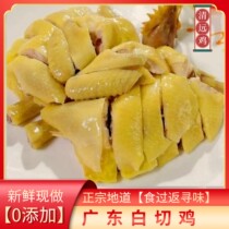 Authentic Cantonese white-cut chicken whole Qingyuan white-cut chicken Guangzhou classic famous dish heated and ready-to-eat hand-shredded sesame chicken