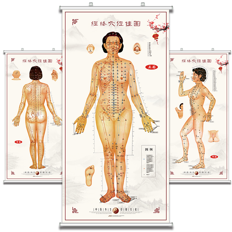 Chinese Medicine Body Chart