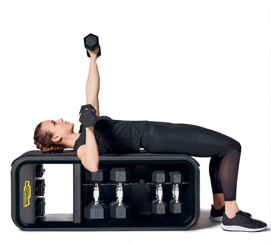 TECHNOGYM BENCH MULTI-PURPOSE EXERCISE CHAIR FREE STRENGTH TRAINING STRETCH BELT DUMBBELL SET