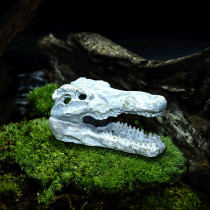 Resin cave climbing with emulated skull hiding from the barking dragon rearing box fish tank Aquarium Furnishing with a view-making sunscreen