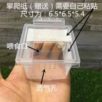 Mantis Breeding Box Small Square Box Small Mantis Keeping Box Plastic Breathable contains Climbing Paper