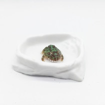 Horned frog lizard BAO WEN Shougong toy snake crawler reptile alien pet food basin Basin tank Cabinet Anti-escape pet