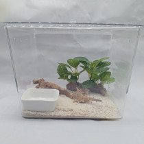 Grey white strawberry short wrist lira BlackBerry hermit crab breeding set ornamental crab pet crab freshwater land crab lazy
