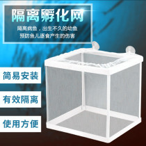 Production Box Hatching Fish Tank Aquarium Incubators Incubators Small Fish Isolated Boxes Nets Tropical Fish Breeding Boxes Breeding Box Fish Nets