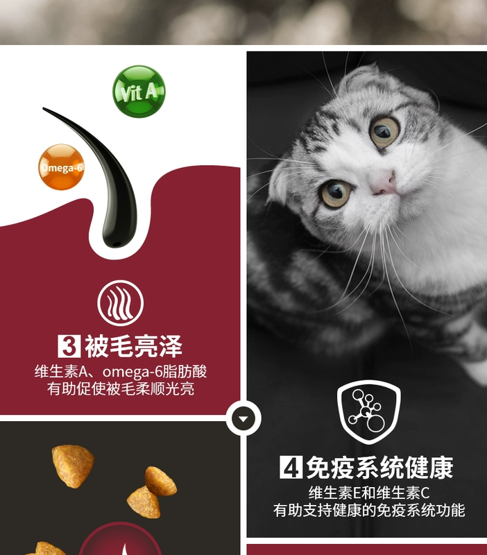 Miễn phí vận chuyển Thức ăn cho mèo Guanneng giá đầy đủ thức ăn cho mèo 7kg Thức ăn cho mèo Guanneng của Anh cho mèo lớn tai ngắn thức ăn khô cho mèo thức ăn chủ yếu - Cat Staples