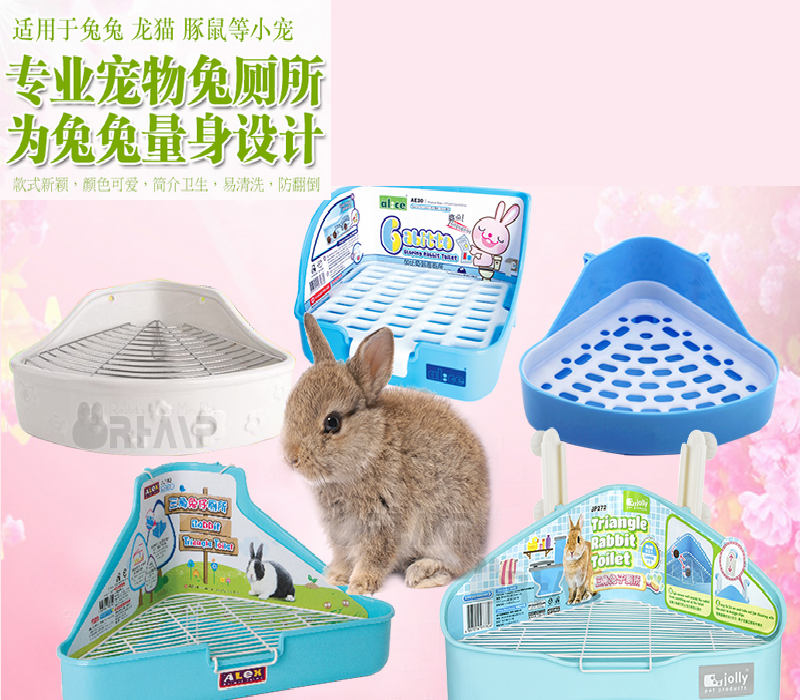   Hedgehog Rabbit Bevel Toilet Rabbit Rabbit Guinea Pig Dragon Cat Rabbit Dutch Pig Small Animal Toilet