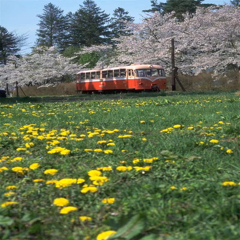 The scenic photos are taken with a real picture.