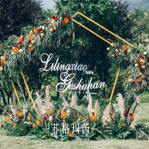 Wedding props iron arch floral gate Sen - tied geometry for outdoor wedding background shelf alien arch