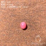 0.72ct Conch Bead Conch Conch Bead Flamingo #498
