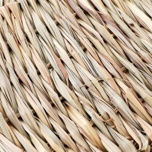 Кроличье кроличье гнездо totona toton, toton, toton, dorch pig wo ndes