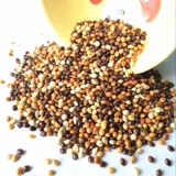 Черно -белые, красные и желто -зеленые пельмени 5 Цветные смешанные тигровые кожаные птицы едят птичьих пищи. 2,5 кг бесплатная доставка