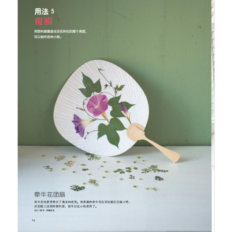 零基础也能玩转压花艺术?一本让你爱上自然之美的《压花小物基础入门教程》解读!🎨💐-都市手工艺书籍-淘宝好物网