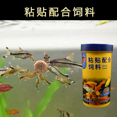 Dolphin patch fish food, small fish patch compound feed, fish food, tropical fish, ornamental fish, guppy, lamp family grass tank