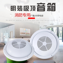 Bay Weiyin Tai and Anlida Ming Installed Suction Top Speaker Sanjiang Fire Broadcasting Horn