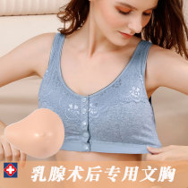 Prosthetic Bra 2-in-1 Mastectomy Fake Breasts Women's Fake Breasts Light Silicone Grass Seeds Fake Milk Summer